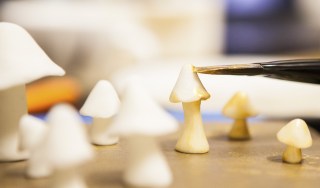 BirthdayCakeTCHR-2_1